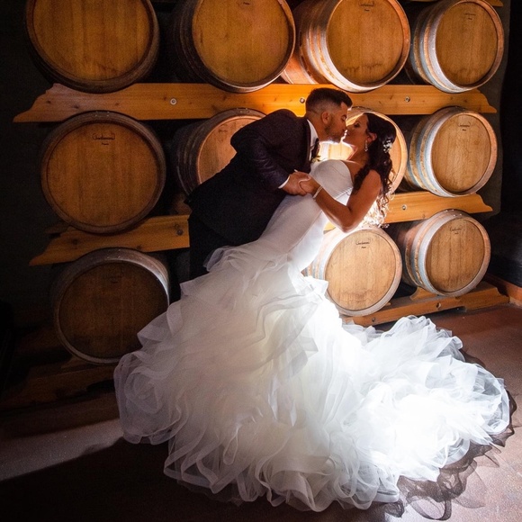 Pronovias Mildred Wedding Dress - Picture 3 of 5